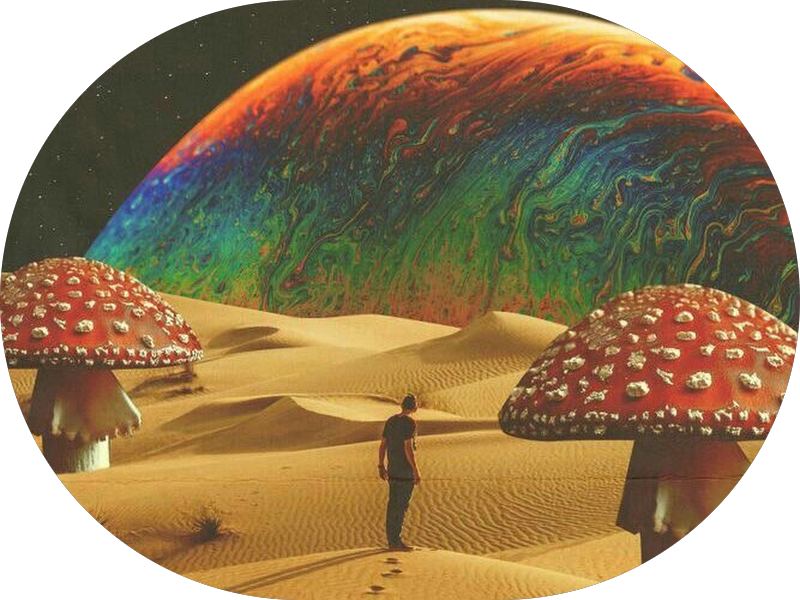 Foto 5 de Odonto Fama Implante