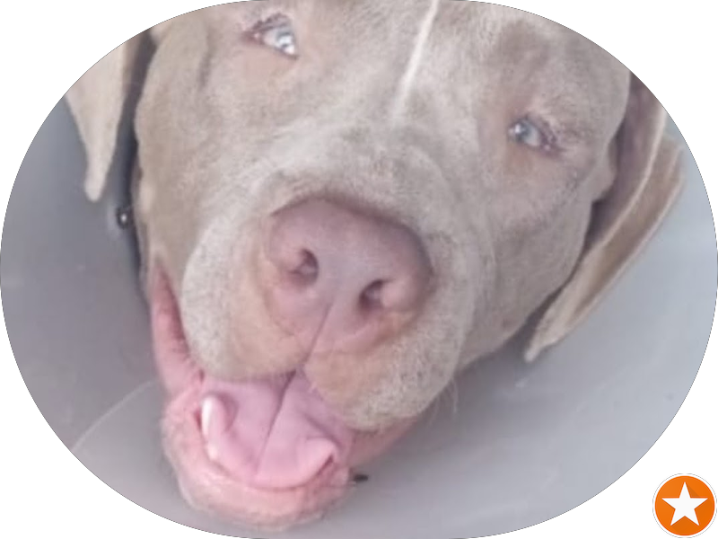 Foto 2 de Odonto Fátima