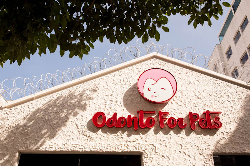Foto 4 de Odonto For Pets