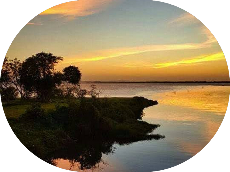 Foto 4 de Odonto Glória