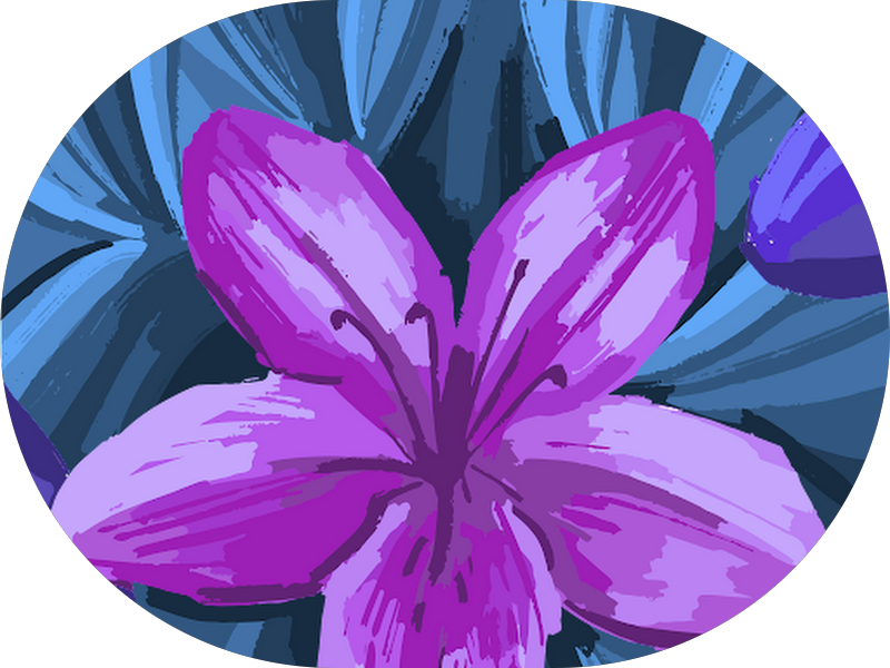 Foto 7 de Odonto Gutierrez