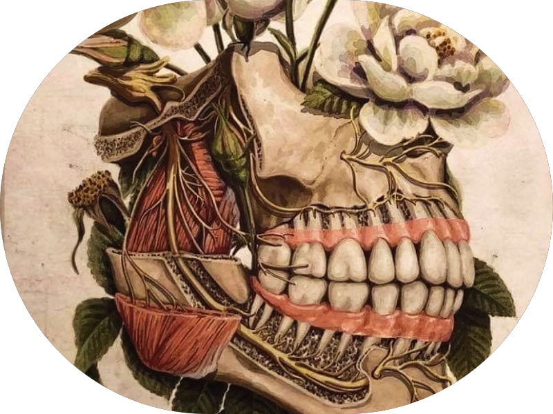 Foto 3 de Odonto Klim