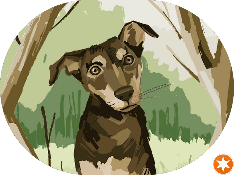 Foto 2 de Odonto mais samambaia sul