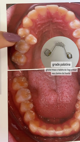 Foto 2 de Odonto Mandú