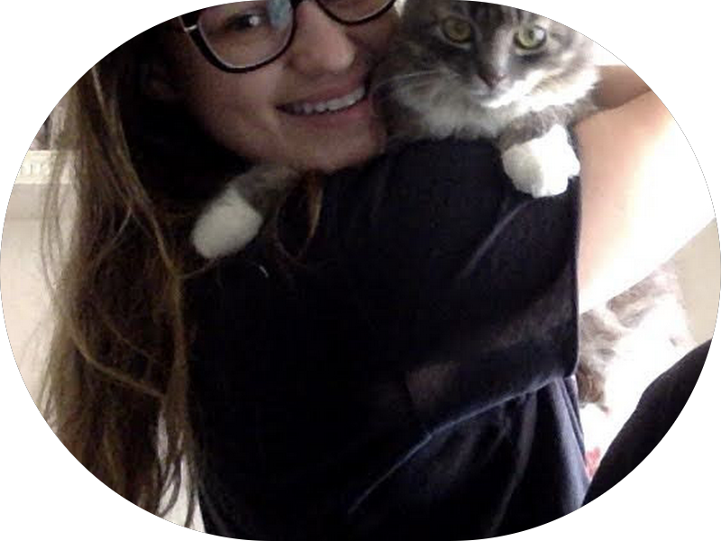 Foto 5 de Odonto Megi | Dentista em Canoas