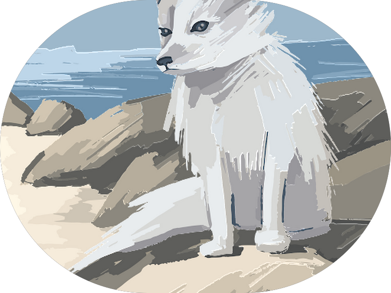 Foto 5 de ODONTO MGT CLÍNICA ODONTOLÓGICA CAPÁO REDONDO