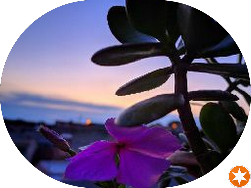 Foto 5 de ODONTO OLIVEIRA I Dra. Daniela - Dentista