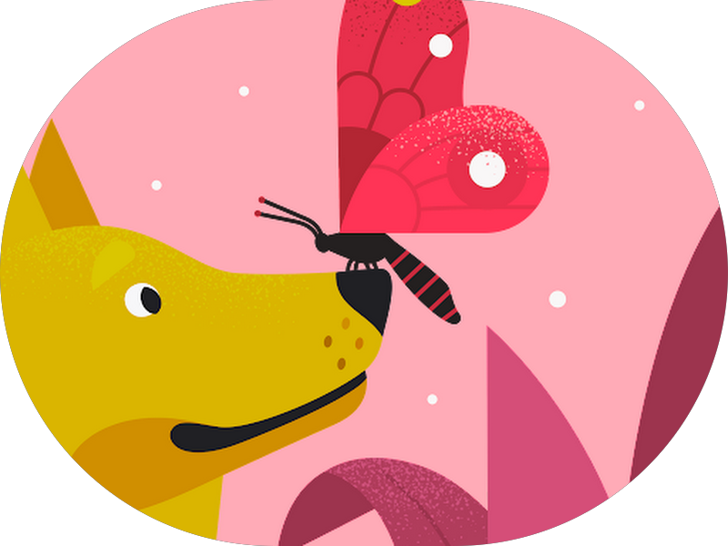 Foto 4 de Odonto Park Parnamirim - Clínica Odontológica