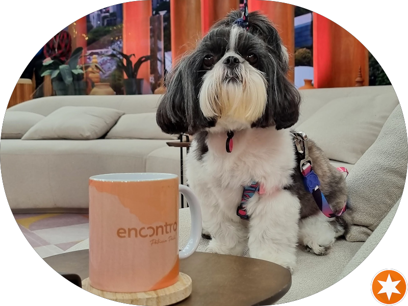 Foto 4 de Odonto Pompéia