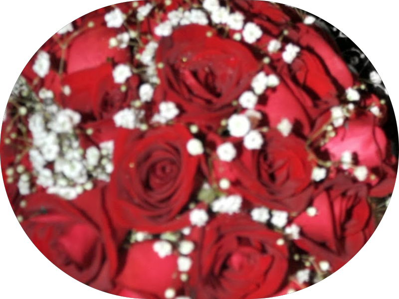 Foto 7 de Odonto Premier