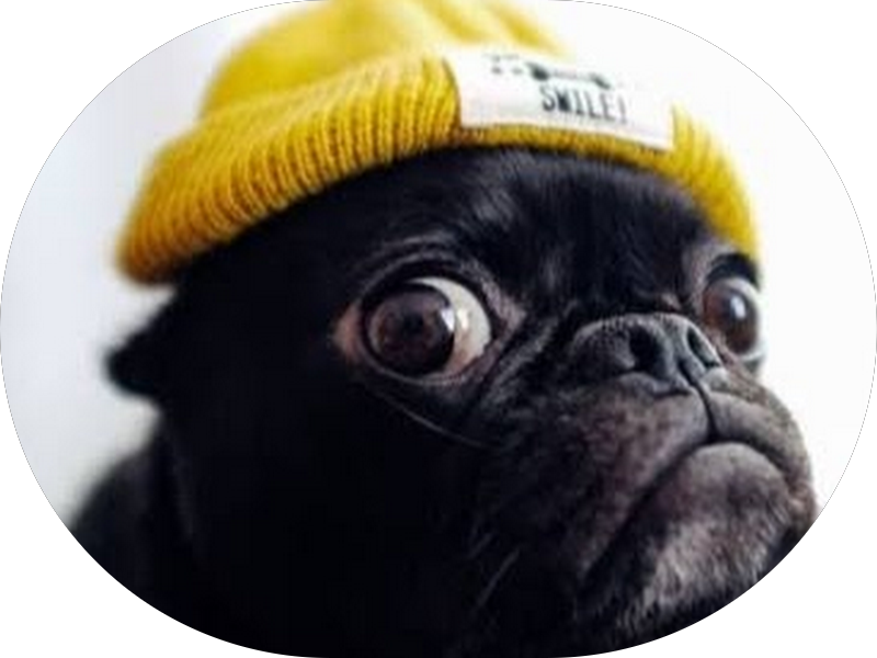 Foto 6 de Odonto Prótese guajuviras