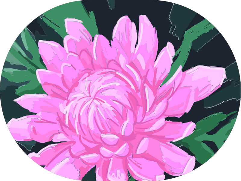 Foto 4 de Odonto Residence | Atendimento Domiciliar | Odontologia em Casa