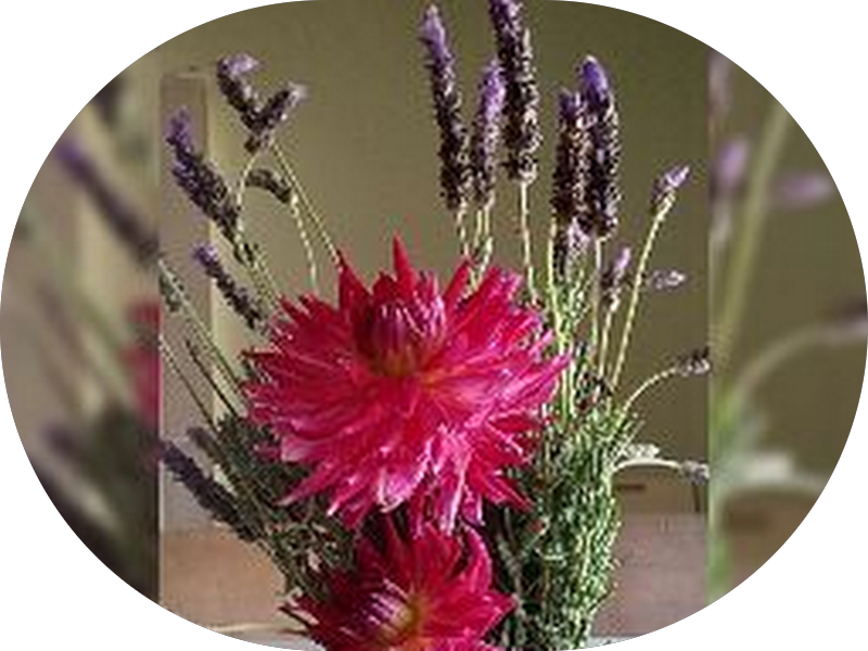 Foto 4 de Odonto Santos - Dra Kamila & Dr Vinicius