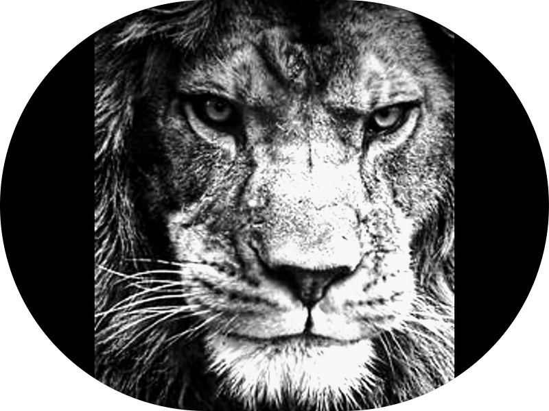 Foto 4 de Odonto Sorriso Betim