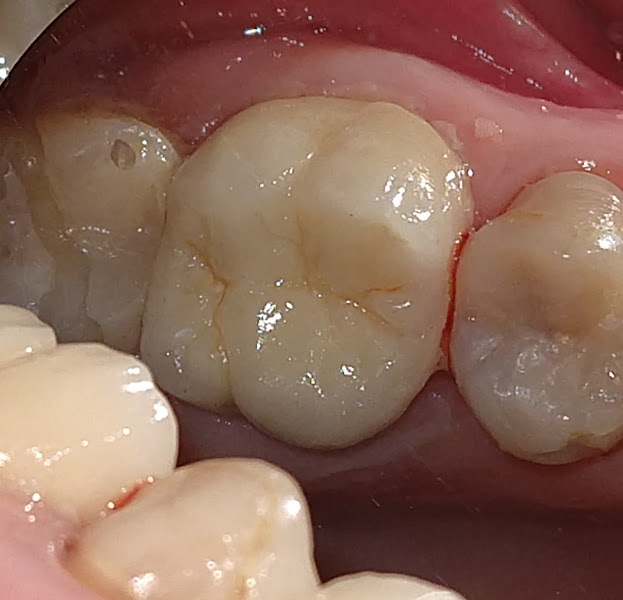 Foto 2 de Odonto Studio Katia Fragoso