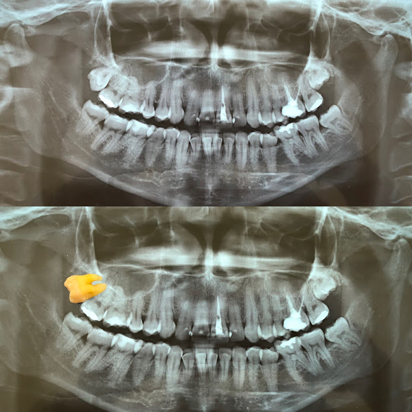 Foto 3 de Odonto Styllo