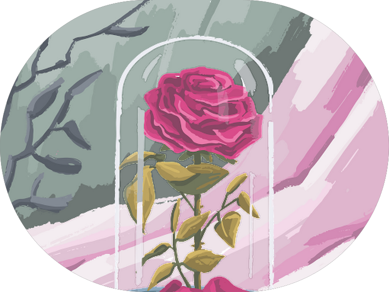 Foto 5 de Odonto Up | Clínica Odontológica em Belém