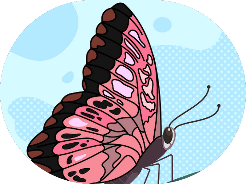 Foto 2 de Odonto Urgências- Dentistas 24h em Indaiatuba