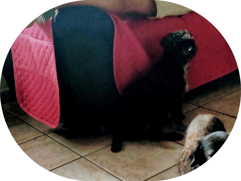 Foto 4 de Odonto Vite | Dentista em Goiânia - Clínica Odontológica Setor Campinas