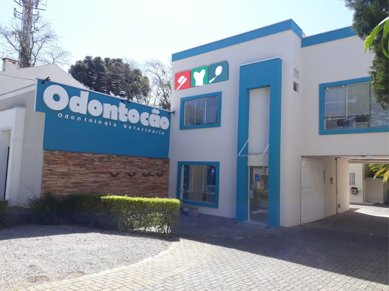 Foto de Odontocão Odontologia Veterinária