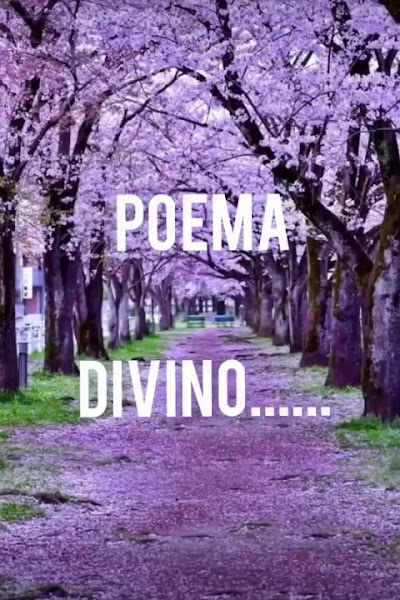 Foto 4 de Odontocape Graças | Dentista Graças | Clínica Odontológica