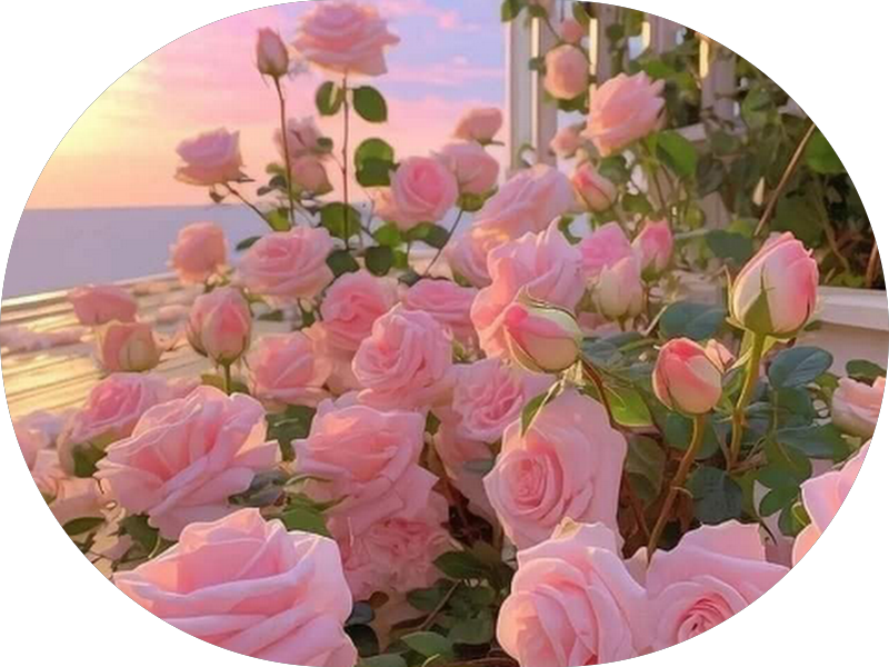 Foto 2 de Odontocentro Centro De Especialidade Odontologica