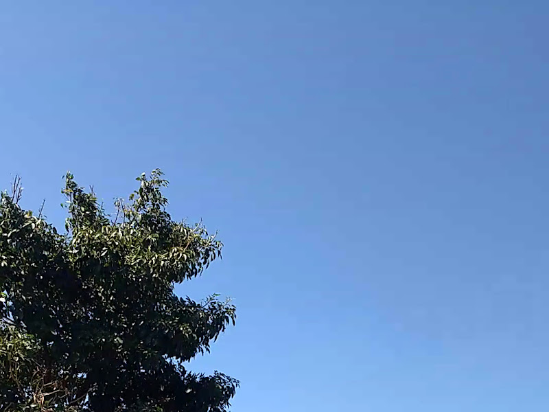 Foto 6 de ODONTOCLASS Clinica Odontológica