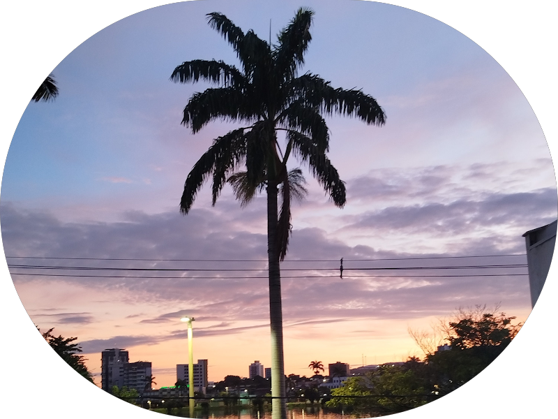 Foto 5 de Odontoclinic