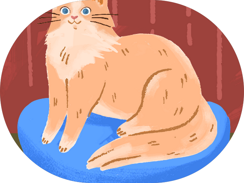 Foto 2 de Odontoclinic - Campinas Amoreiras