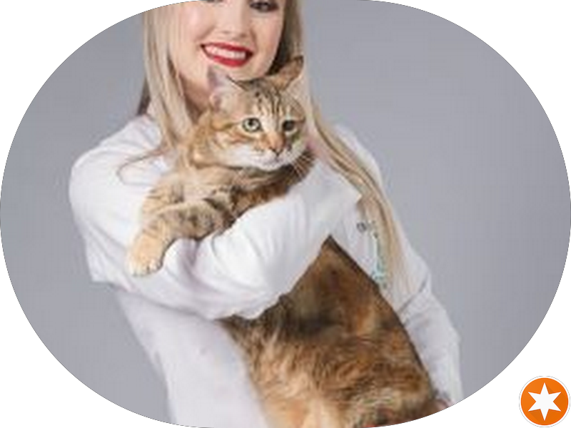 Foto 4 de OdontoCompany