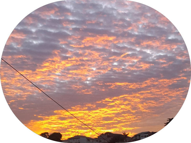 Foto 6 de OdontoCompany