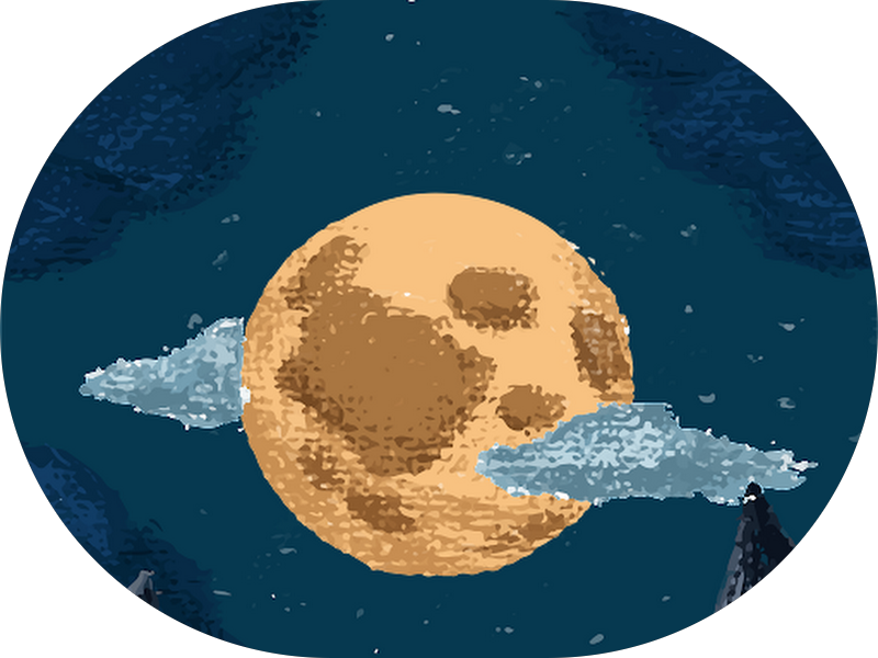 Foto 5 de OdontoCompany