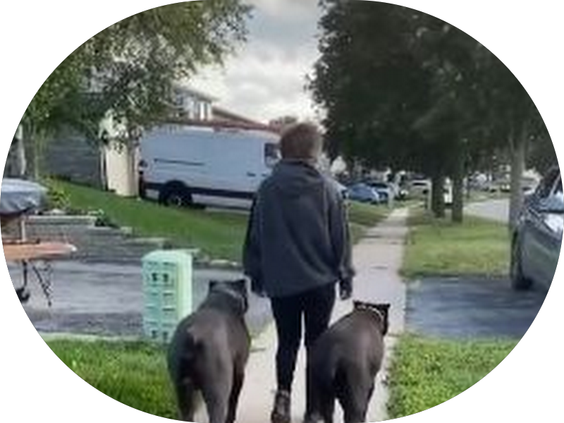 Foto 5 de OdontoCompany Catete