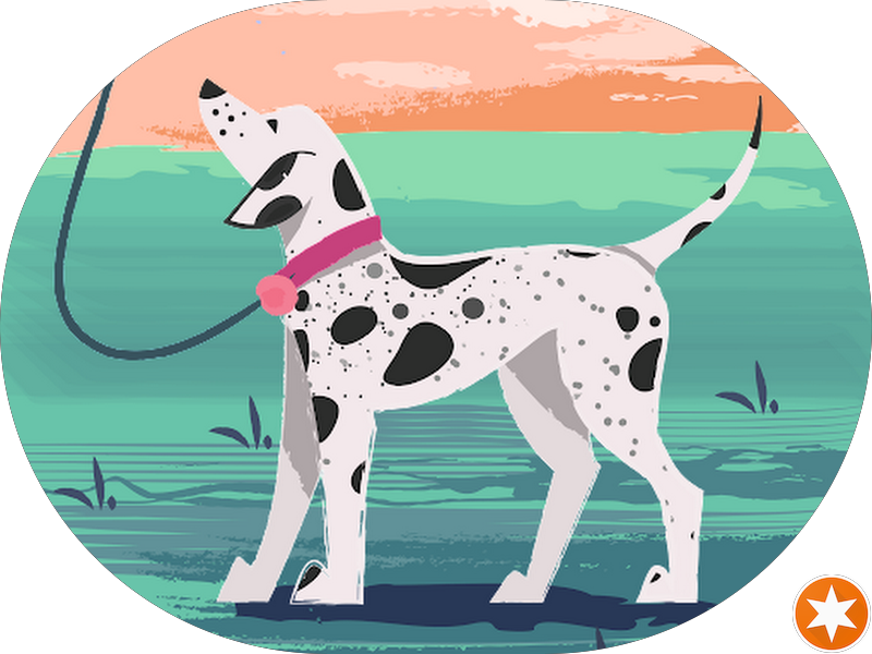 Foto 3 de OdontoCompany