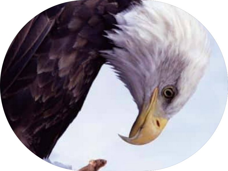 Foto 2 de OdontoCompany Centro de Porto Alegre