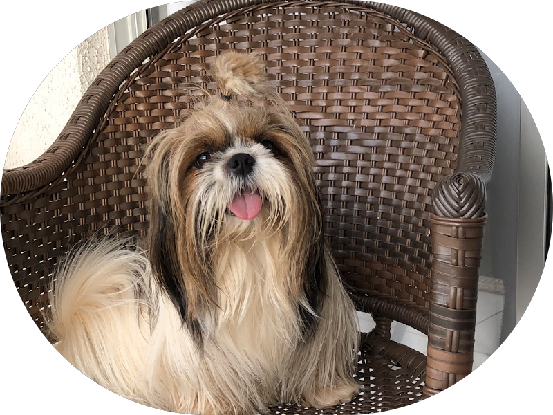 Foto 4 de OdontoCompany