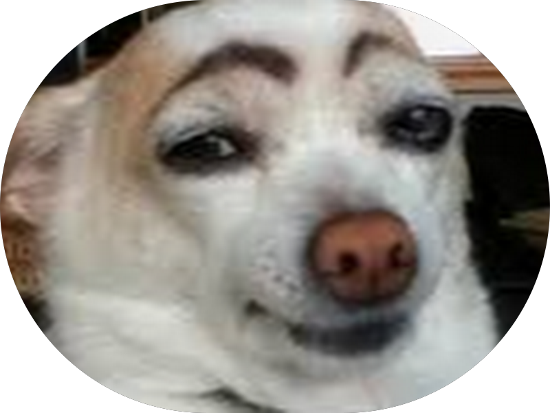 Foto 3 de OdontoCompany Embu das Artes