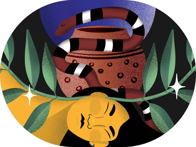 Foto 4 de OdontoCompany Federação | Dentista em Salvador