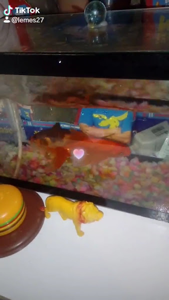 Foto 4 de OdontoCompany Guaianases