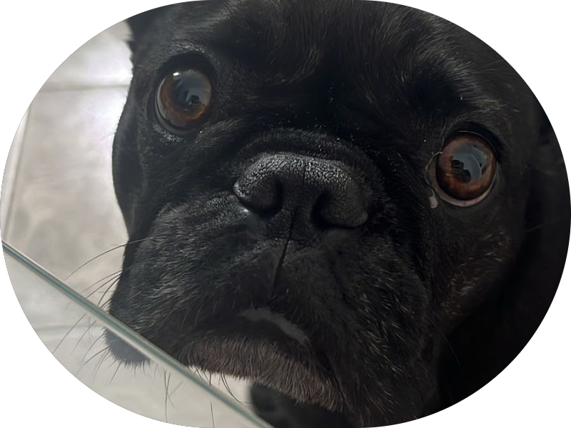 Foto 5 de OdontoCompany Guaianases