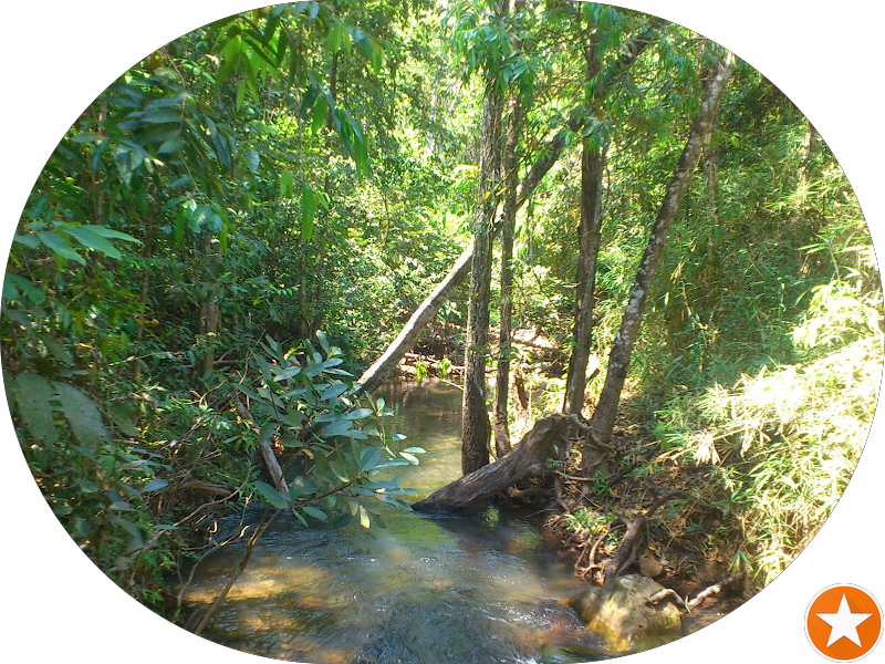 Foto 4 de OdontoCompany Guará I