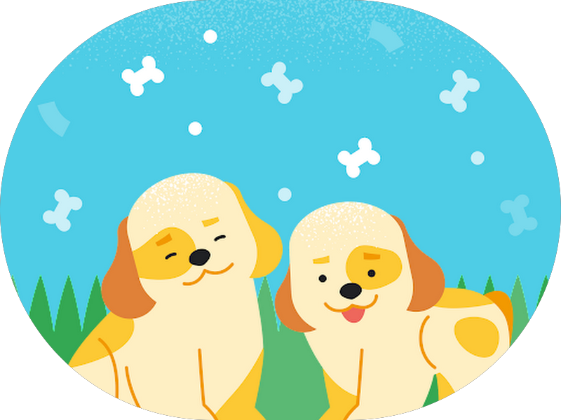 Foto 6 de OdontoCompany Vila Prudente