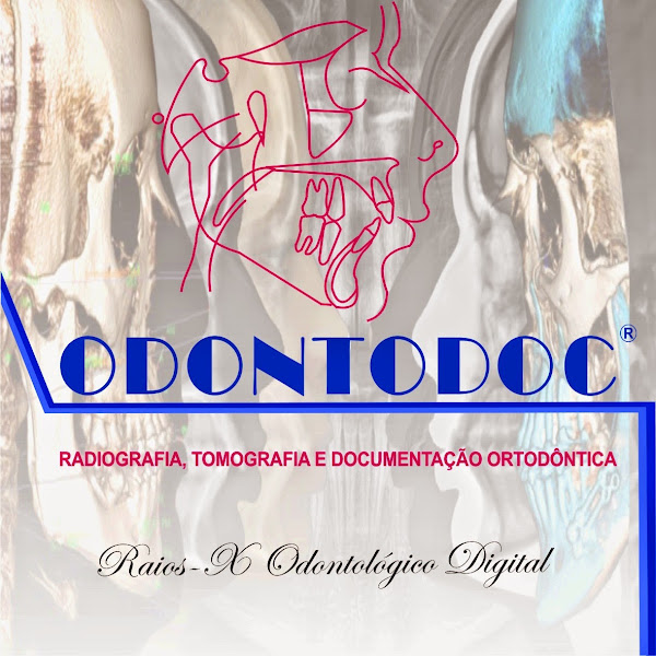 Foto 3 de ODONTODOC