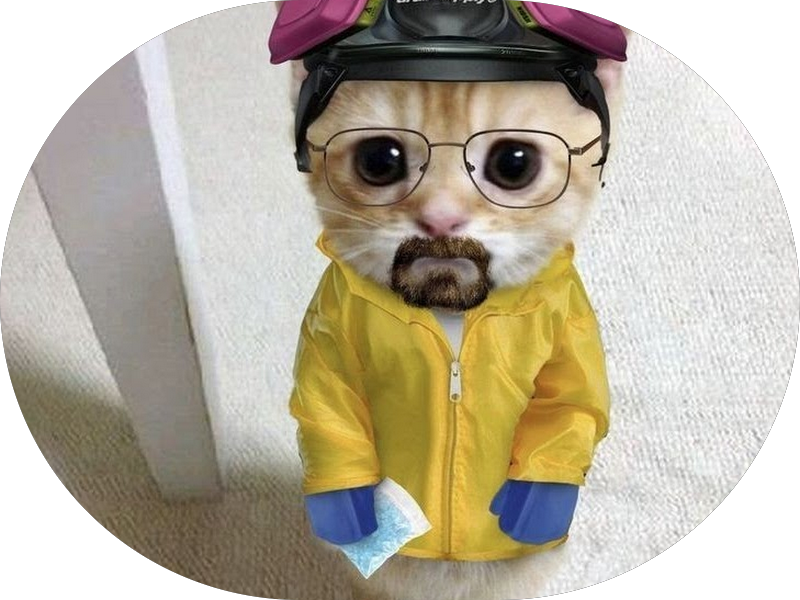 Foto 4 de Odontoelis