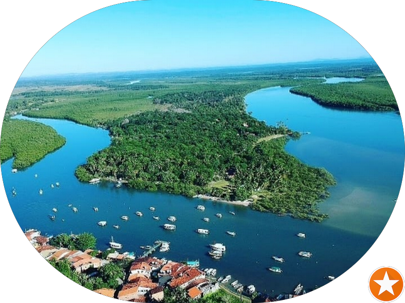 Foto 3 de Odontogênese