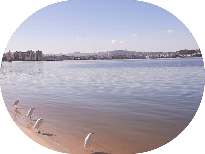 Foto 3 de OdontoKids & Family