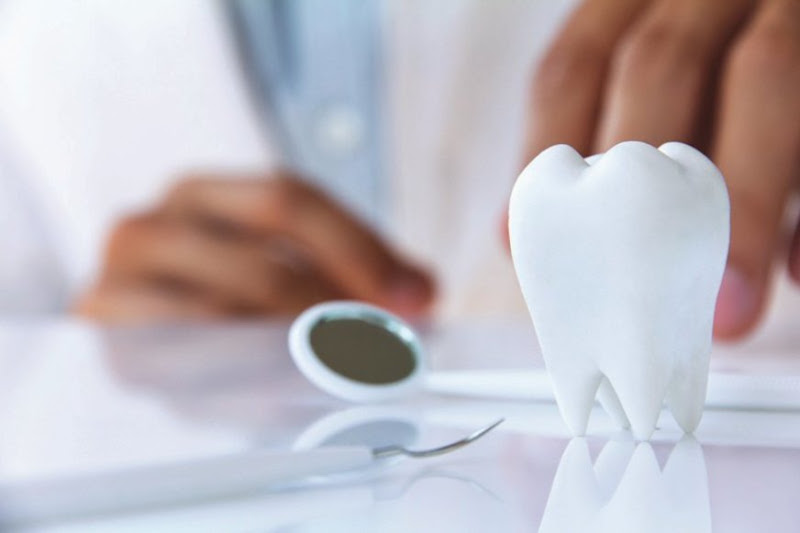 Foto 2 de Odontologia