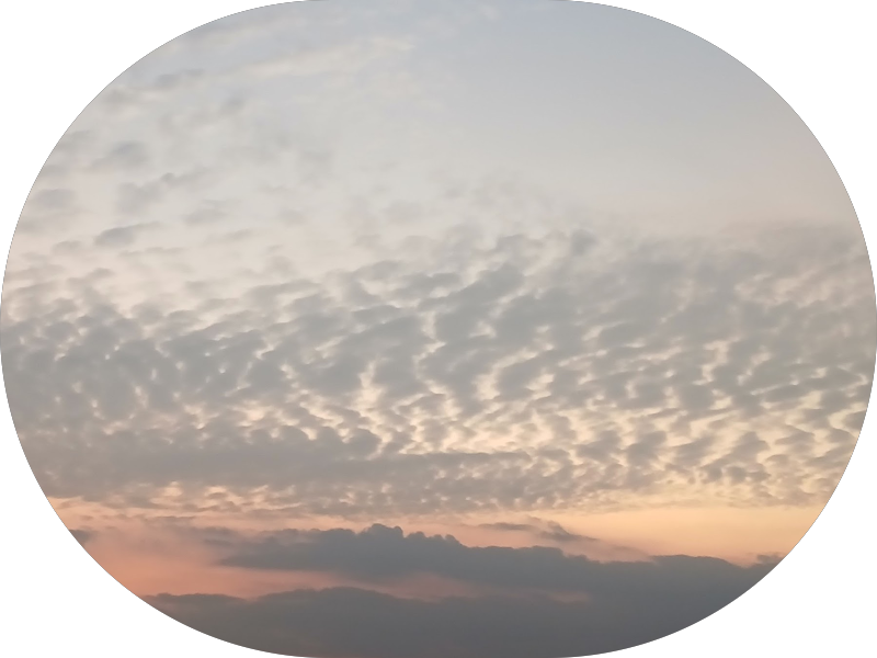 Foto 6 de Odontologia A e D Especializada