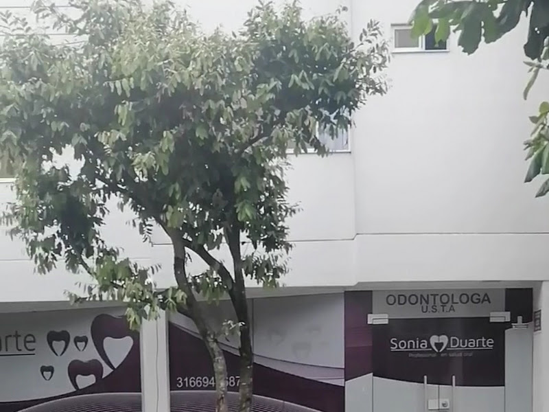 Foto 3 de Odontologia - Dr Márcio Valgas