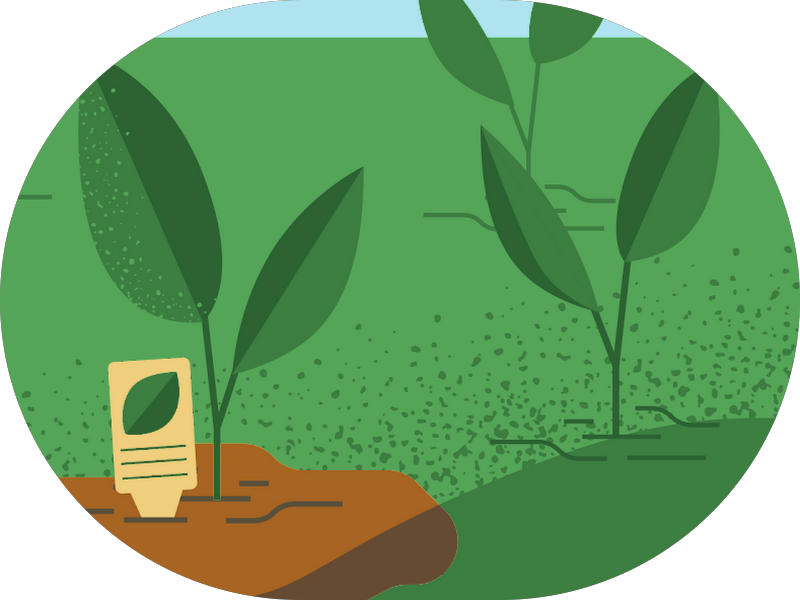 Foto 5 de Odontologia Dr. Roberto Penteado Lagoa da Conceição